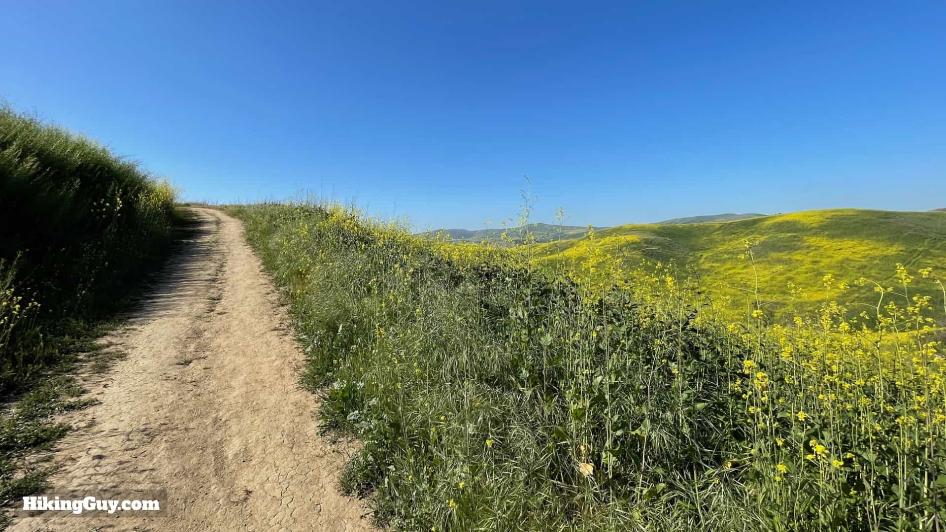 Bane Canyone Loop Trail Directions 11