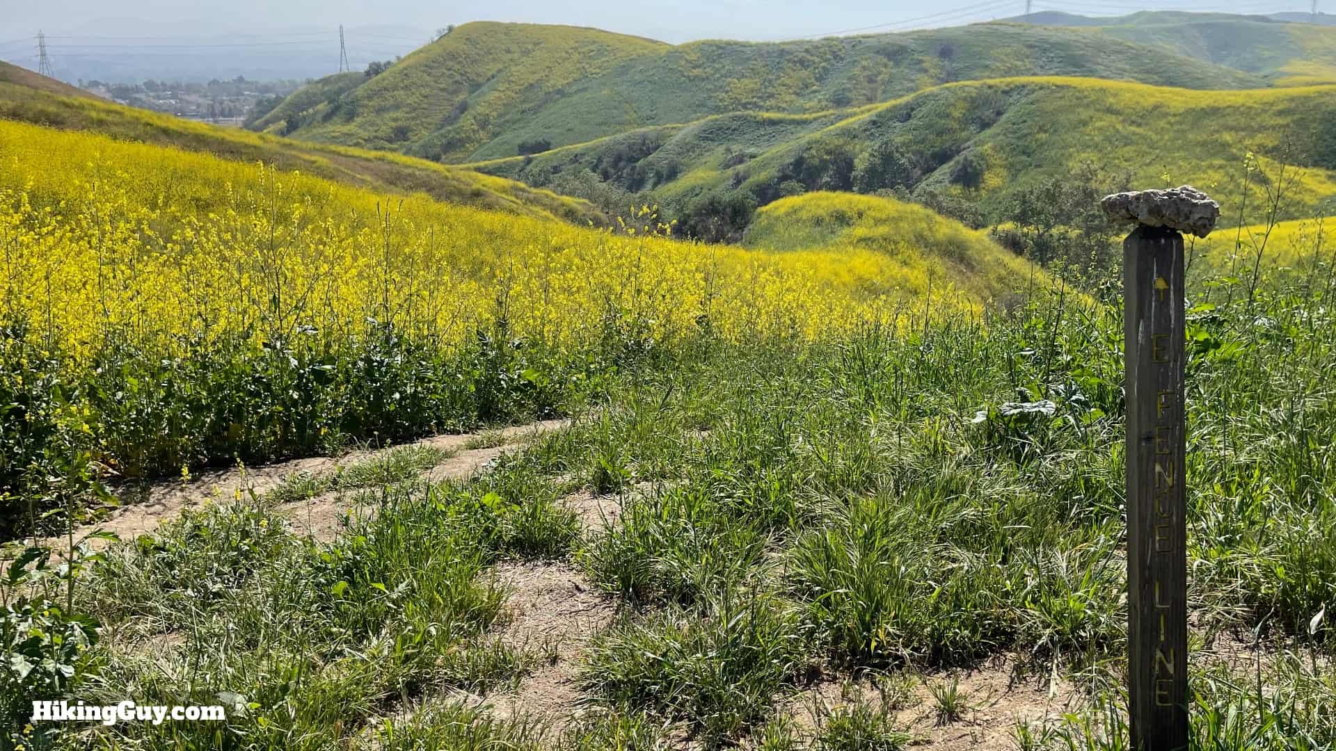 Bane Canyone Loop Trail Directions 23