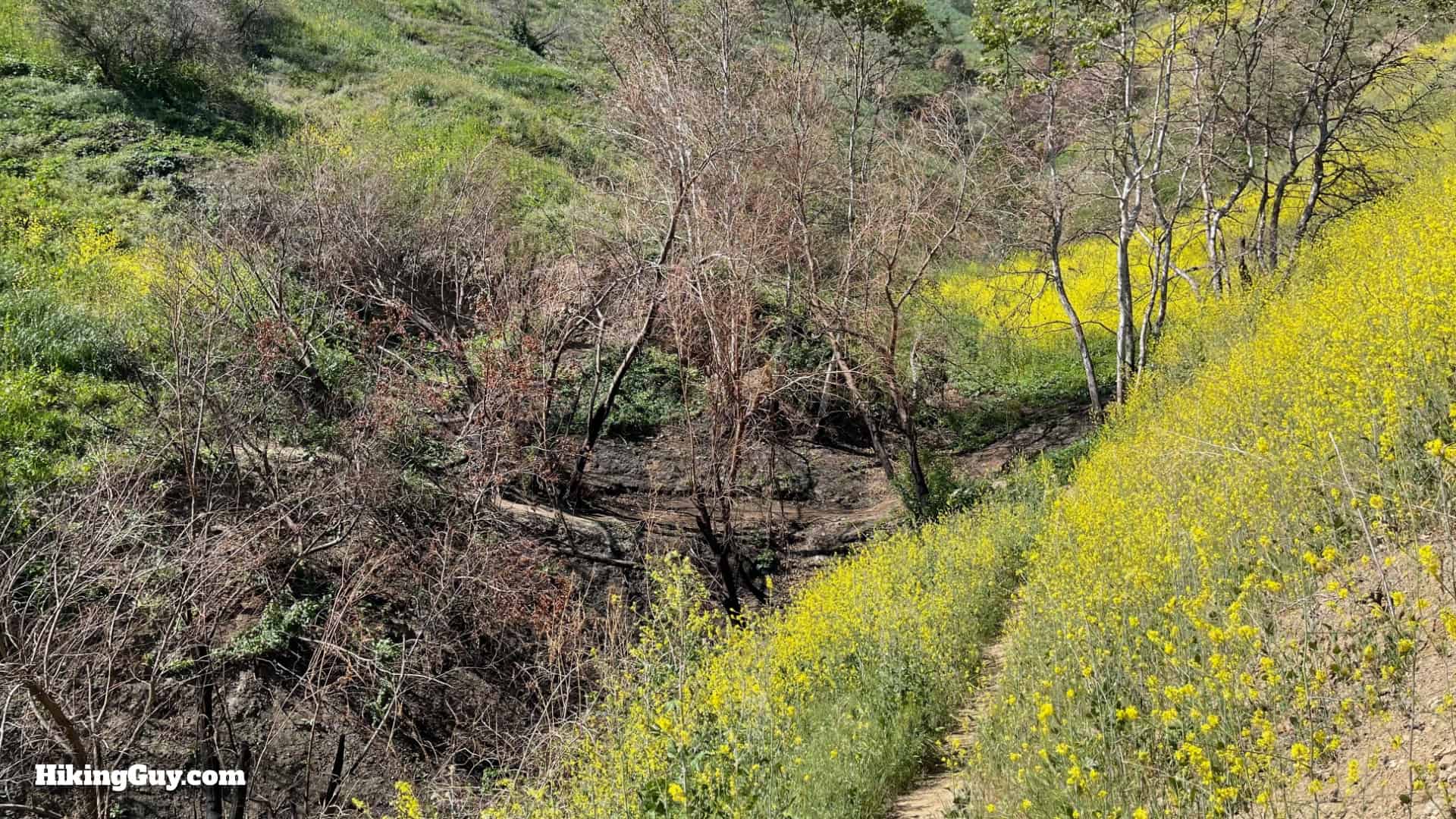 Bane Canyone Loop Trail Directions 25