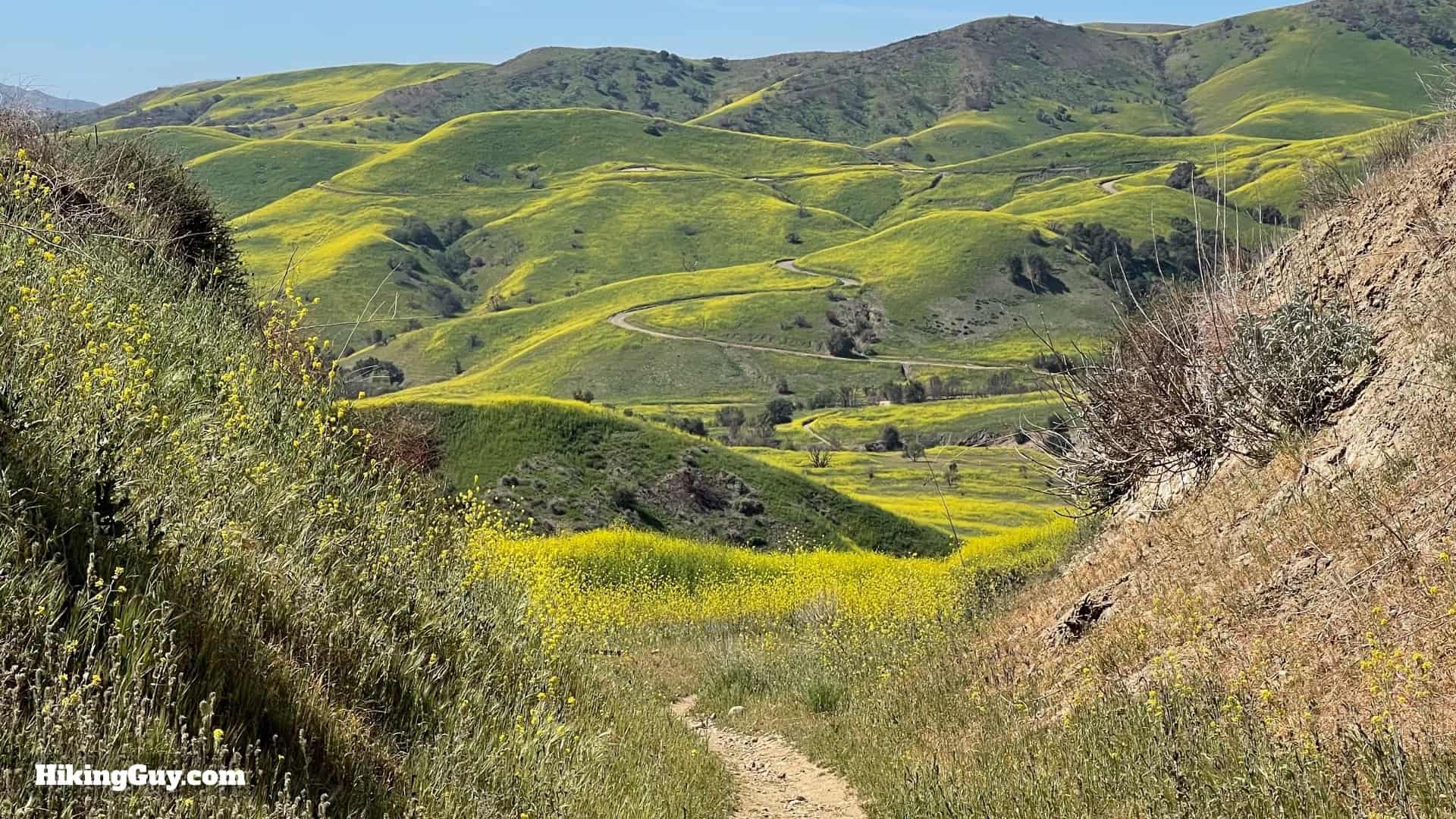 Bane Canyone Loop Trail Directions 32