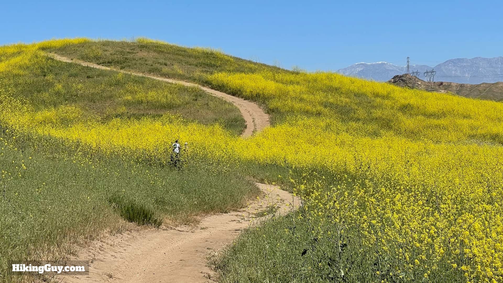 Bane Canyone Loop Trail Directions 39