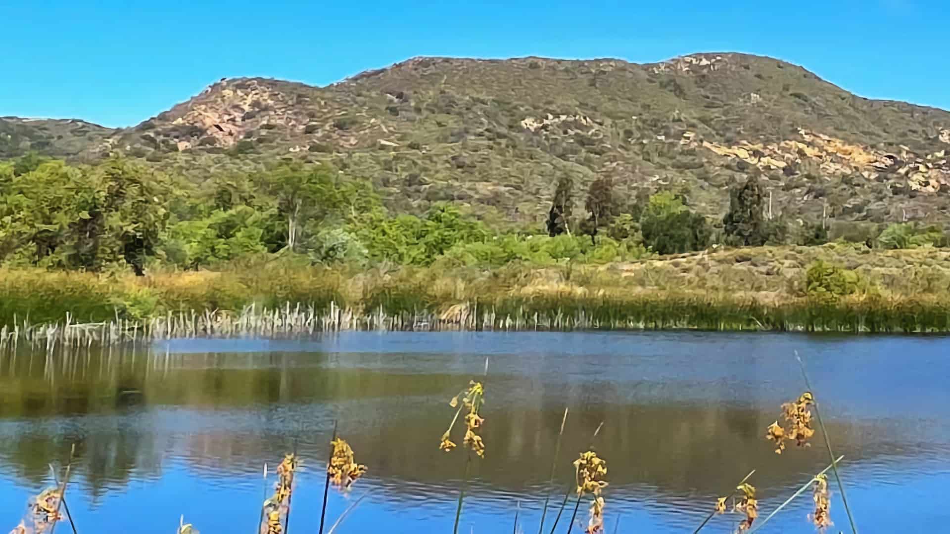 Barbara's Lake Hike (Laguna Beach)