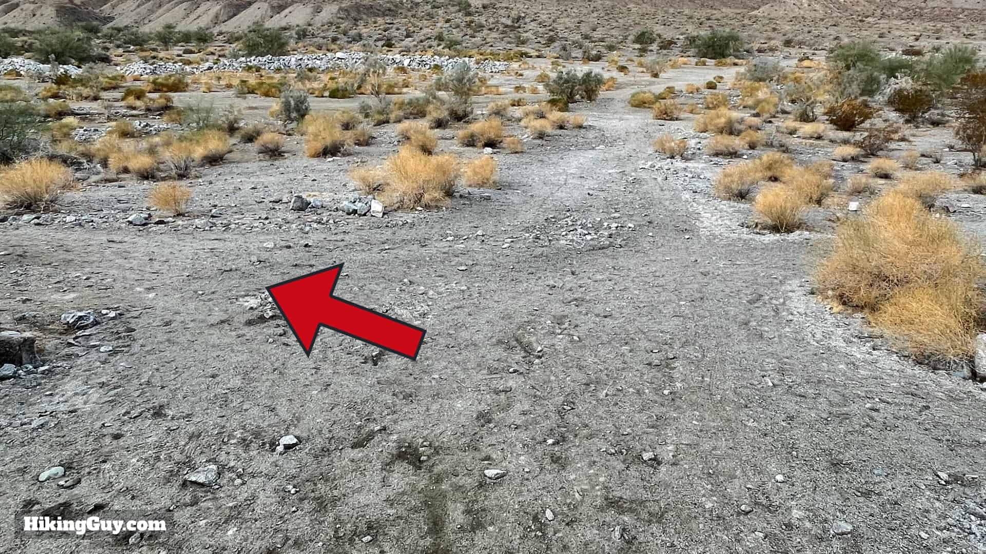 Bear Creek Oasis Trail Directions 10