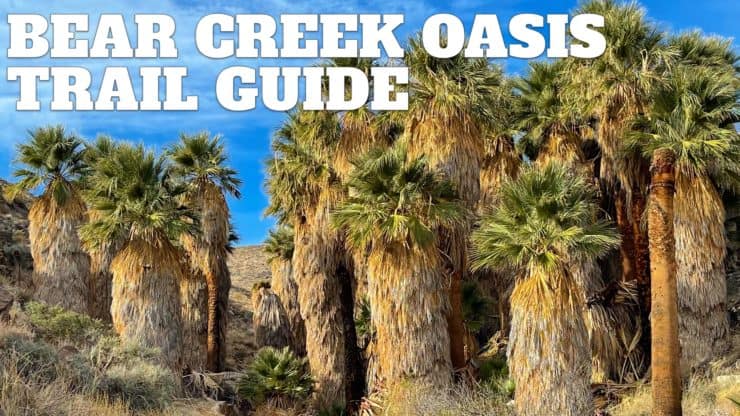 Bear Creek Oasis Trail Guide