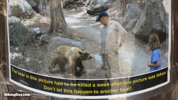 Bear Put Down Sign