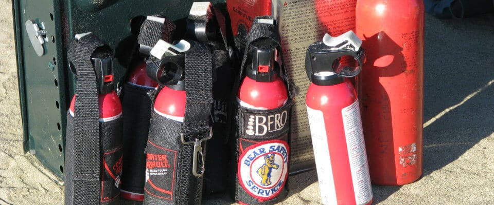 bear spray