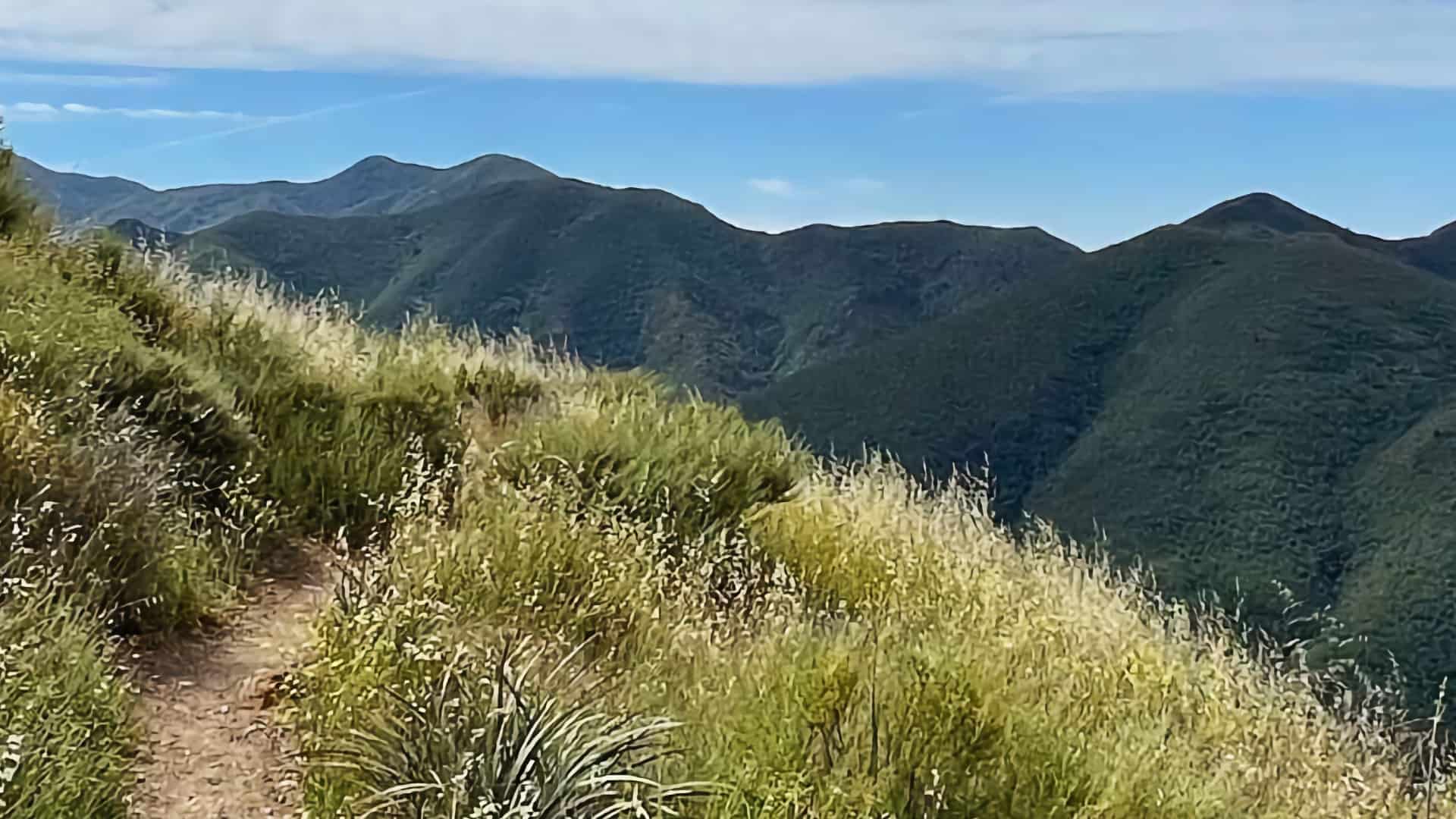 Hike the Bedford Peak Trail (Orange County)