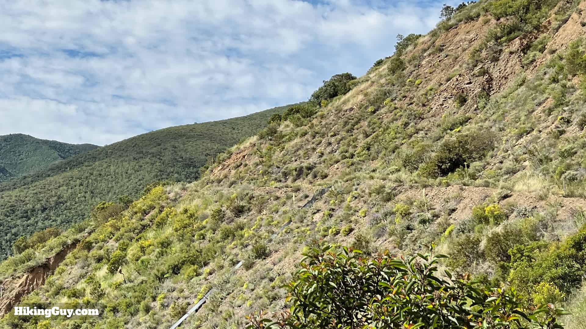 Bedford Peak Trail Update 2022 10