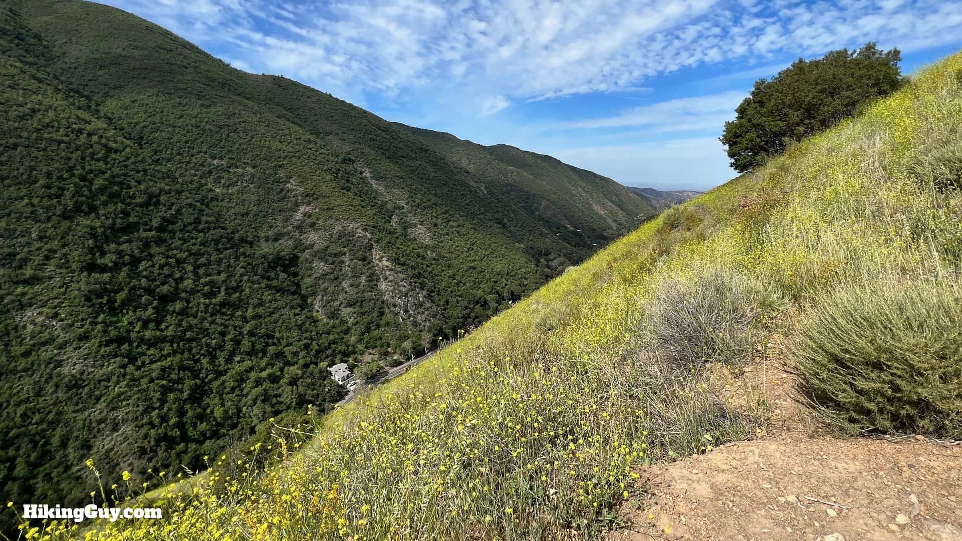 Bedford Peak Trail Update 2022 11
