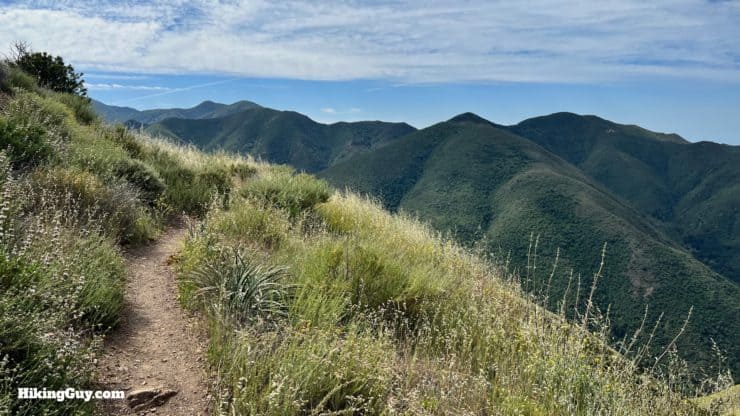 Bedford Peak Trail Update 2022 15