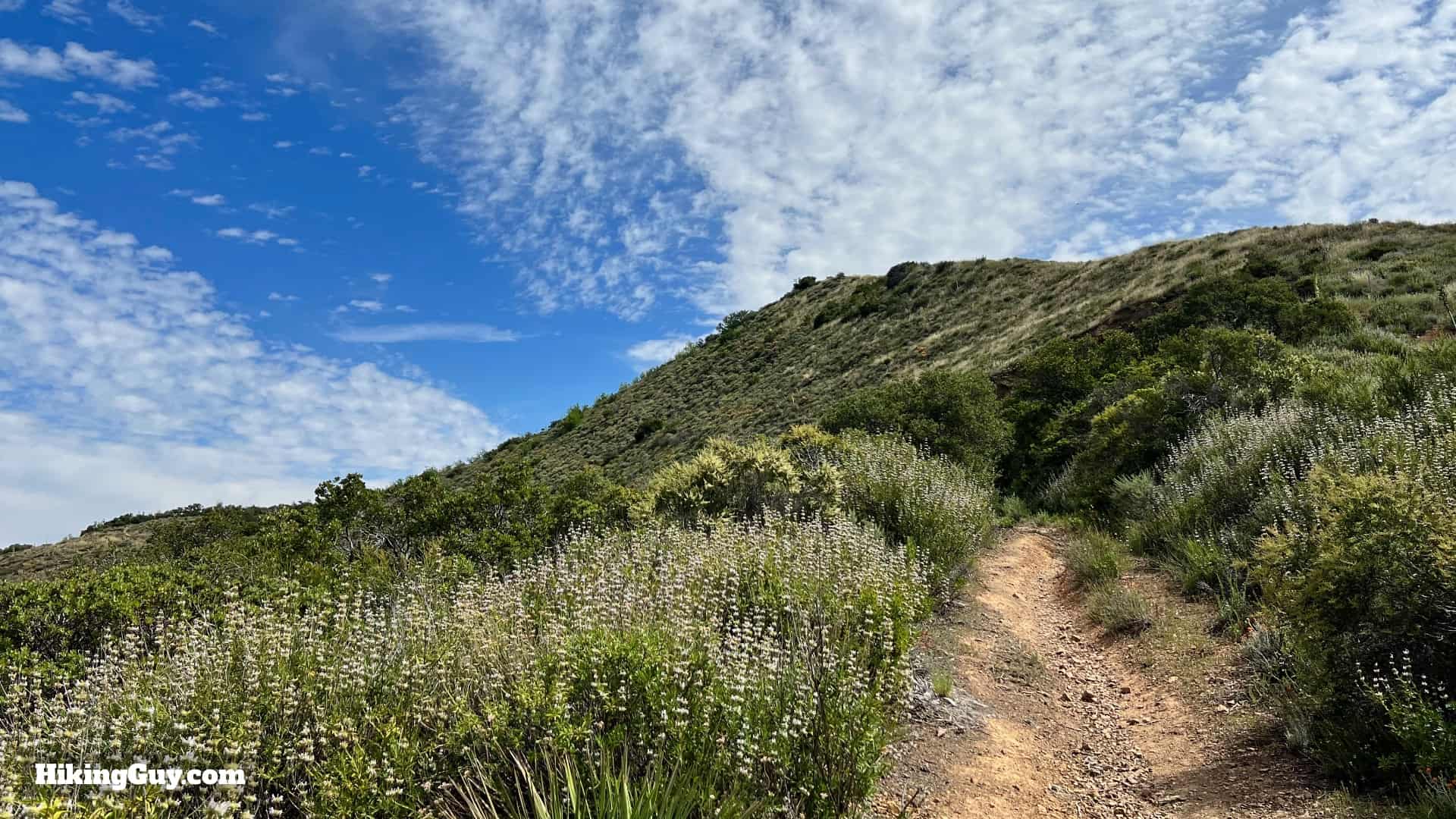 Bedford Peak Trail Update 2022 18