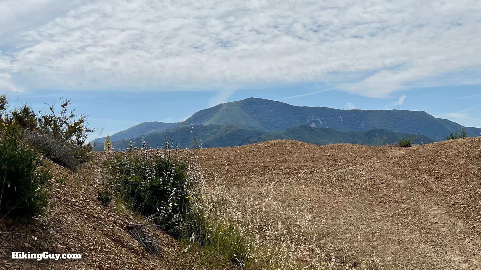 Bedford Peak Trail Update 2022 19