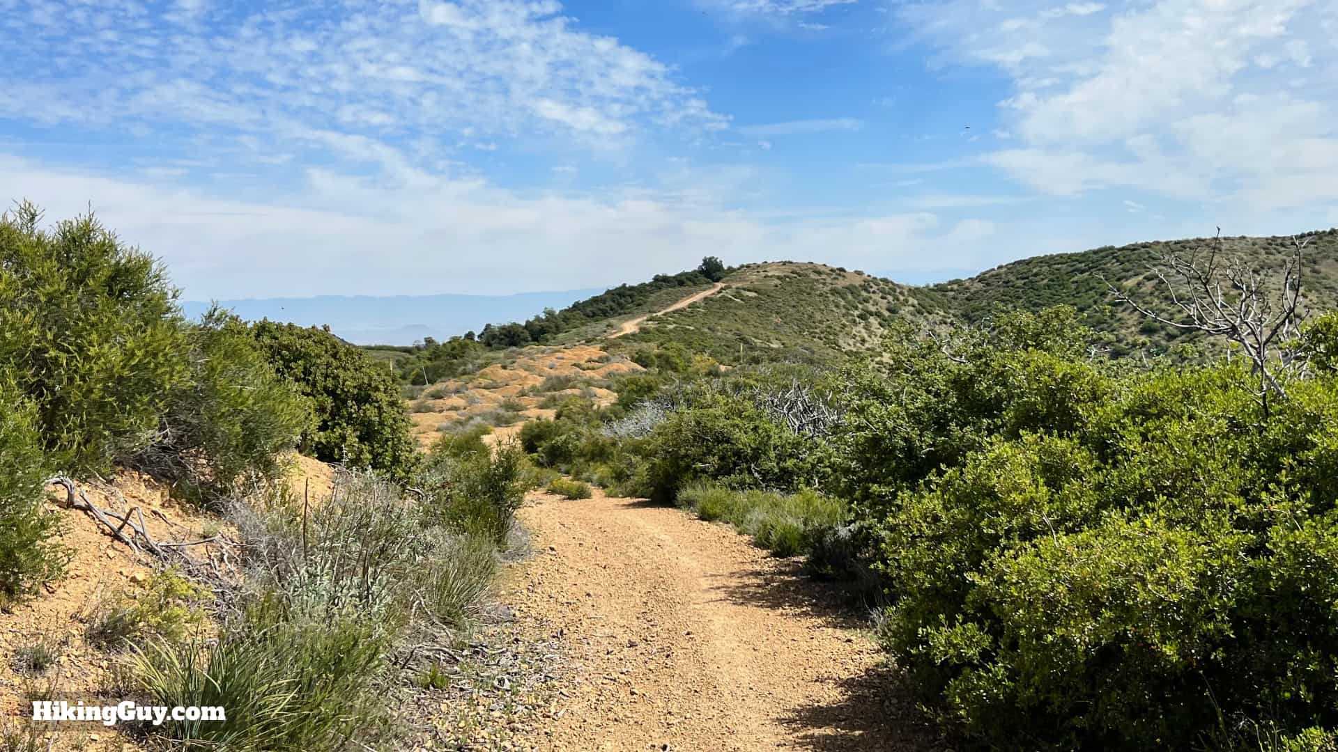 Bedford Peak Trail Update 2022 21