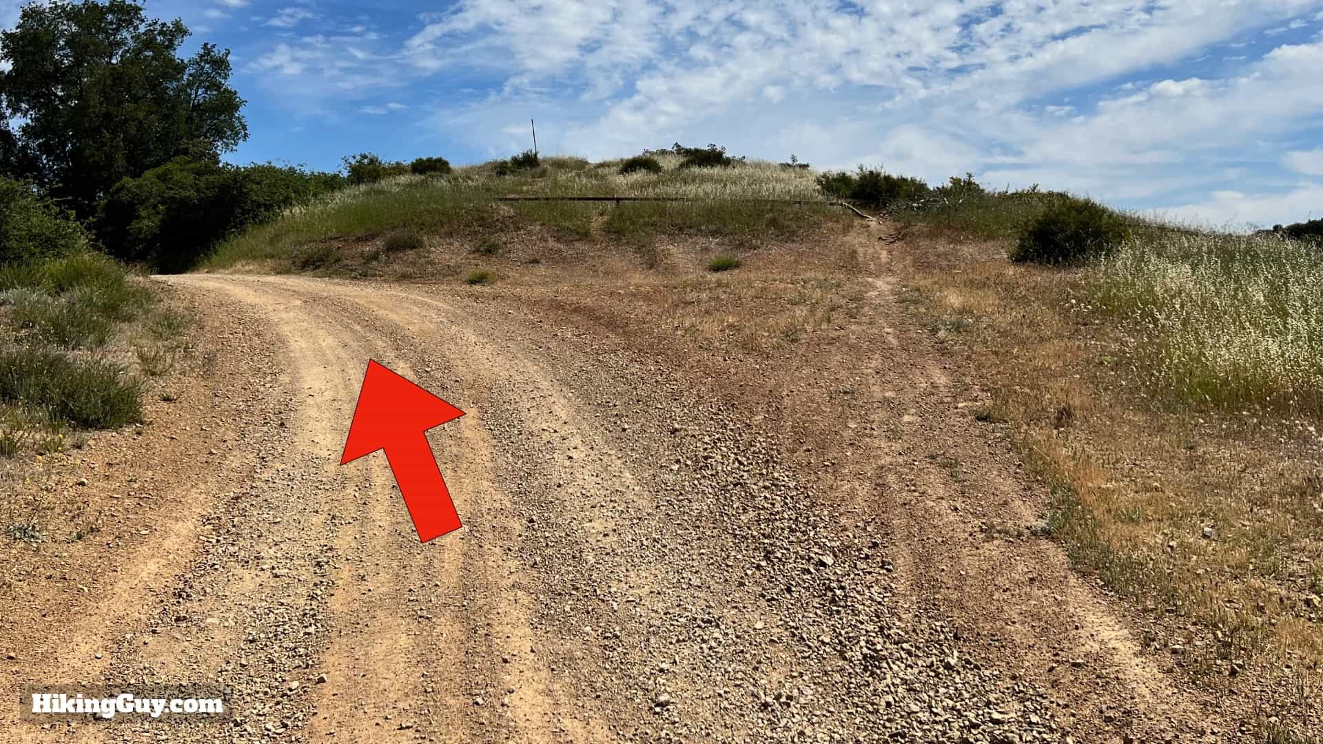 Bedford Peak Trail Update 2022 26