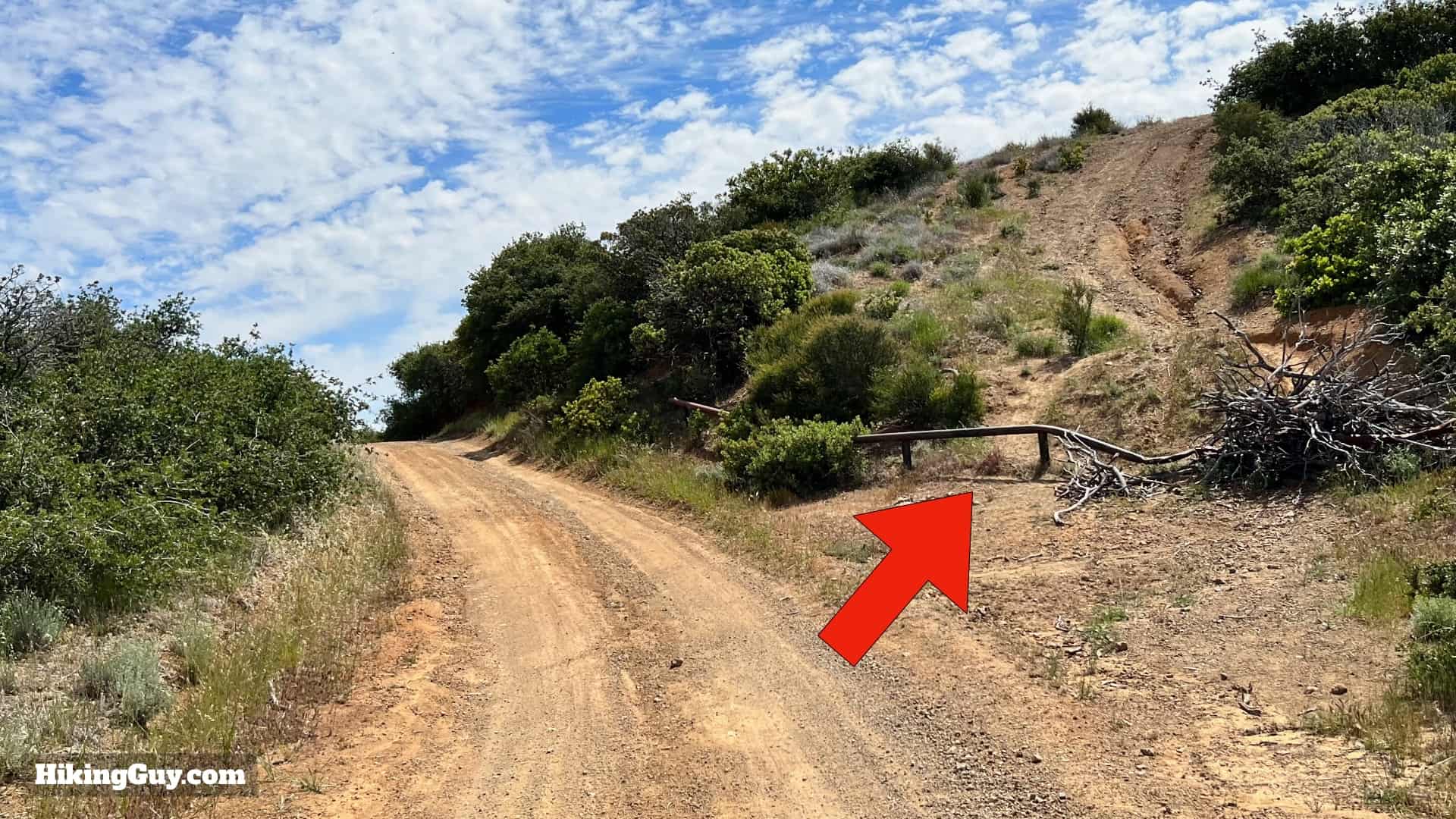 Bedford Peak Trail Update 2022 28