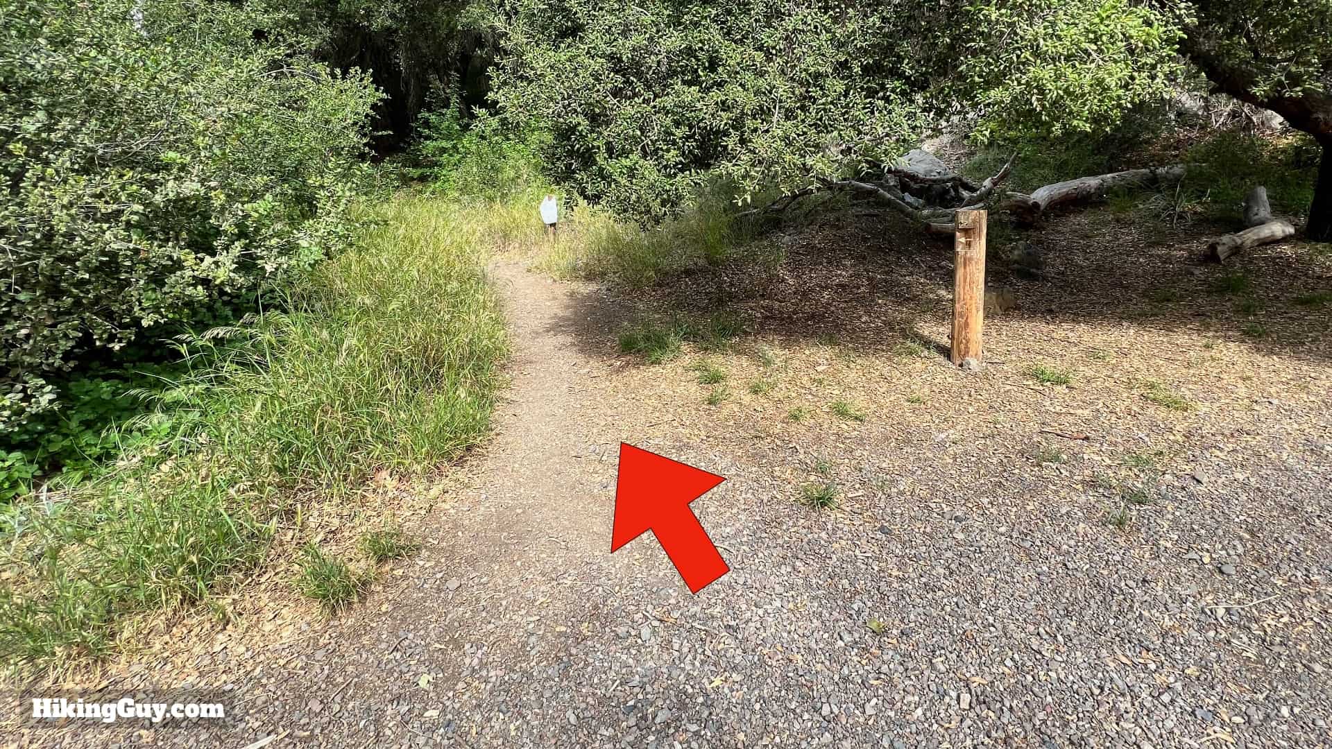 Bedford Peak Trail Update 2022 5