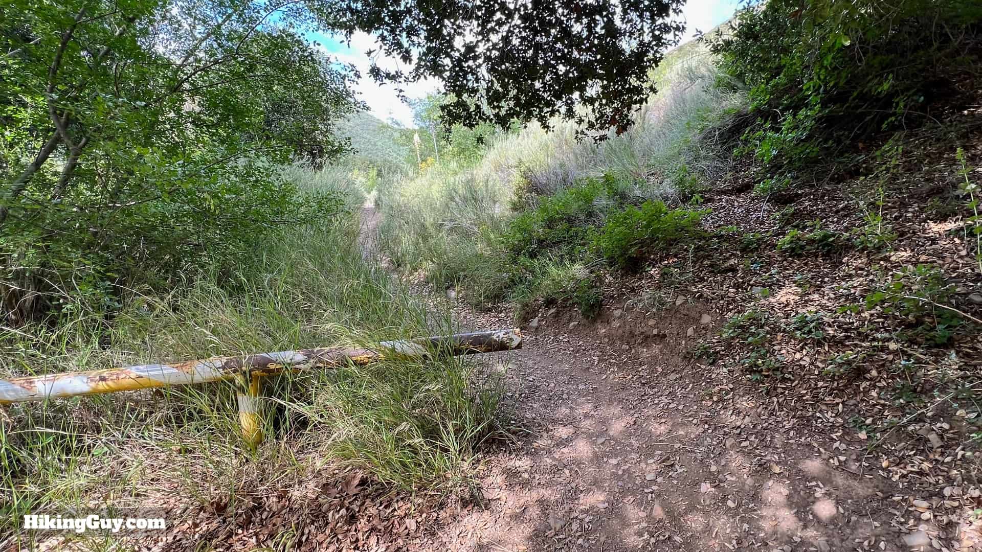Bedford Peak Trail Update 2022 6