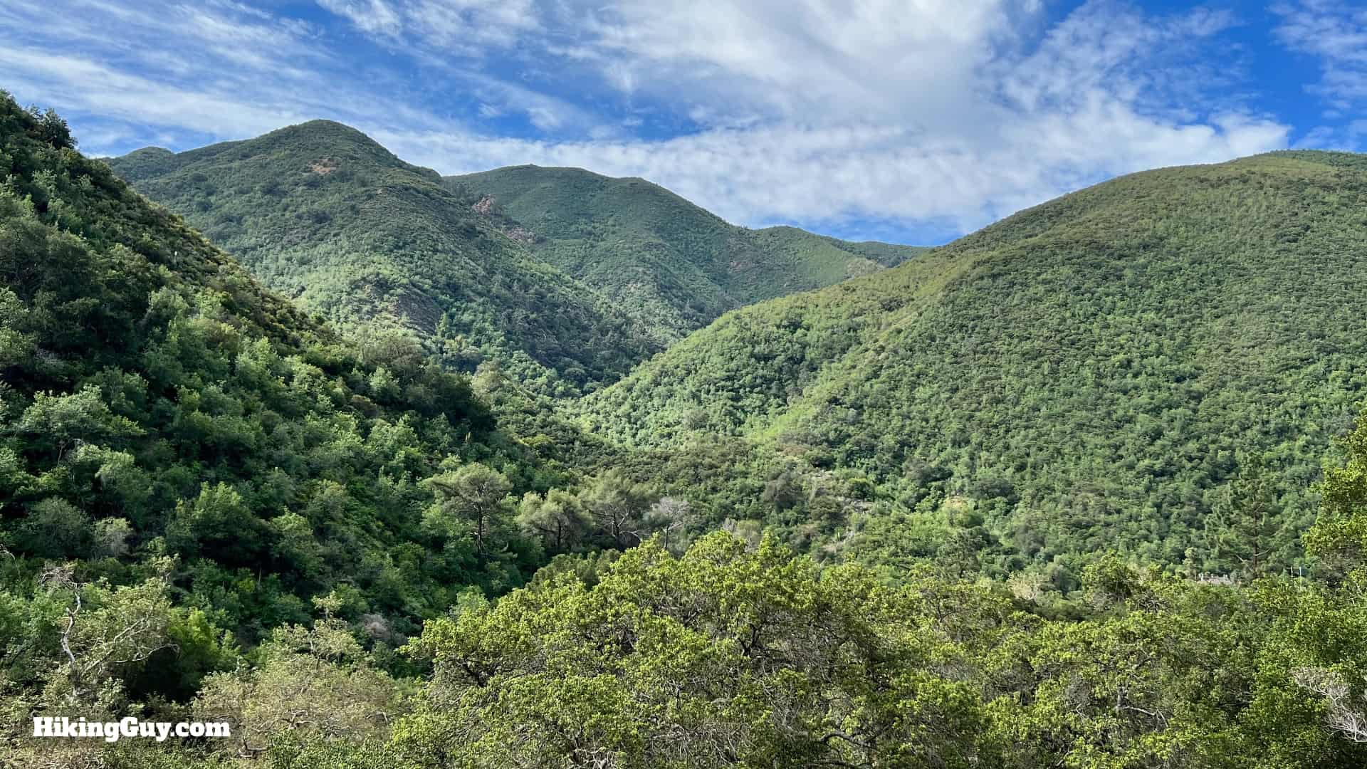 Bedford Peak Trail Update 2022 8