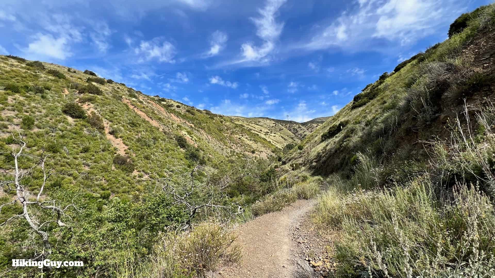 Bedford Peak Trail Update 2022 9