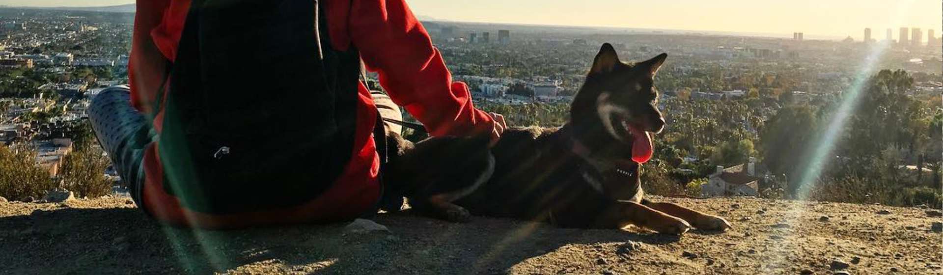 where can dogs swim in los angeles