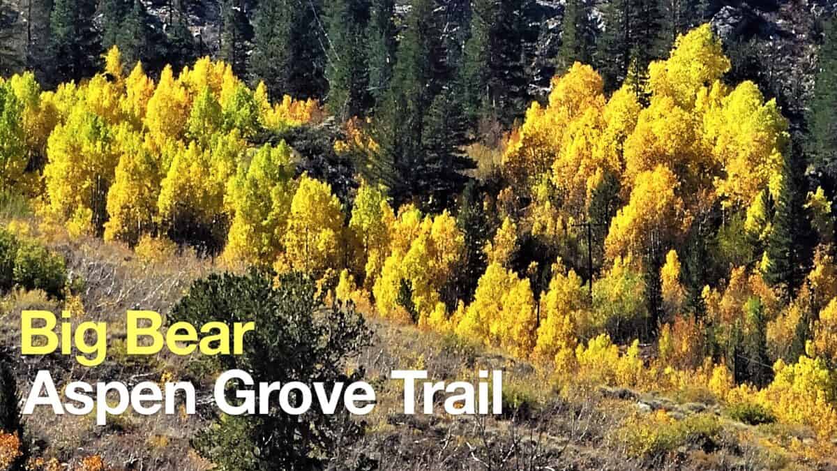 Big Bear Aspen Grove Trail Hike