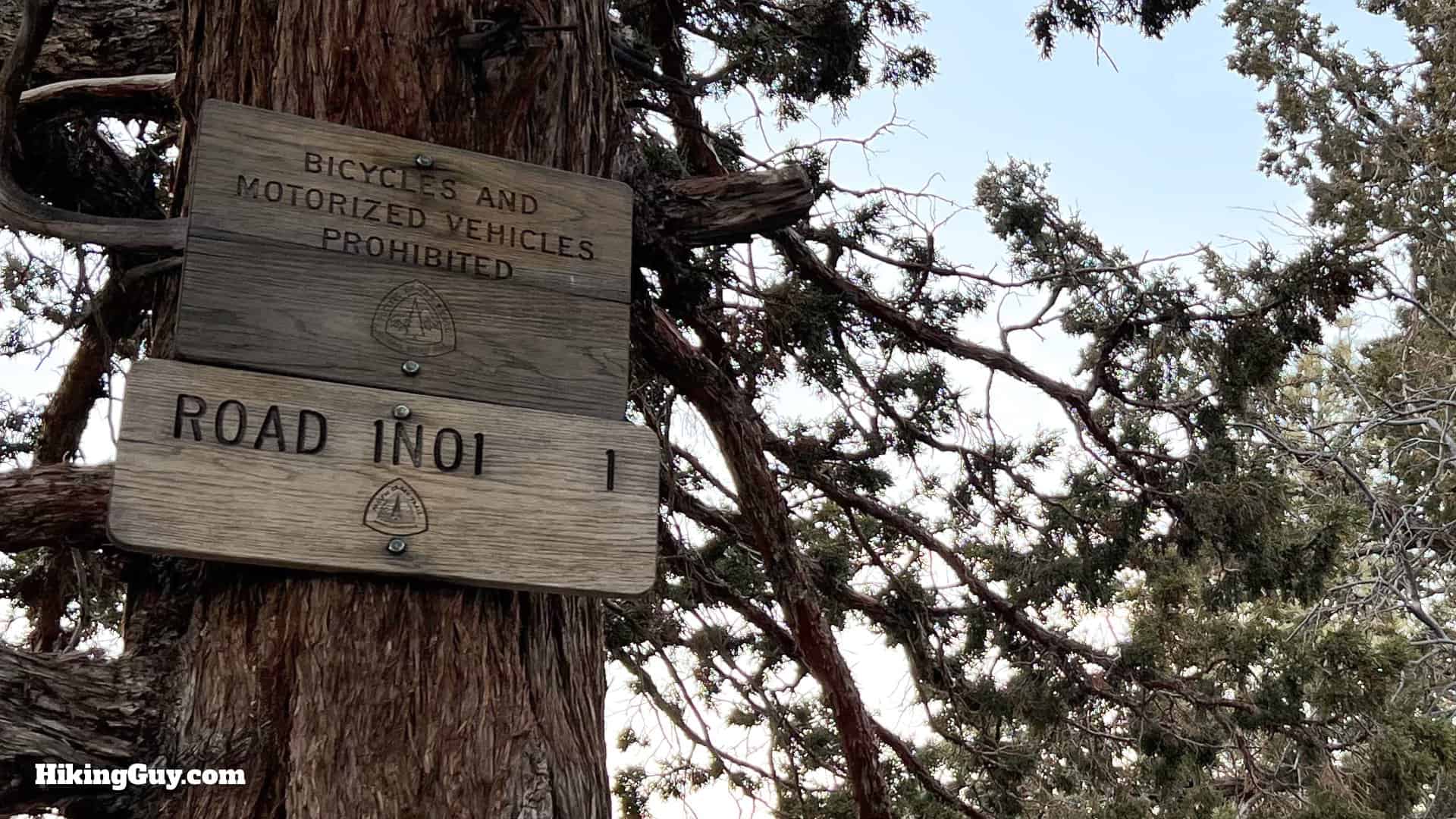 Big Bear Wild Burro Hike 10