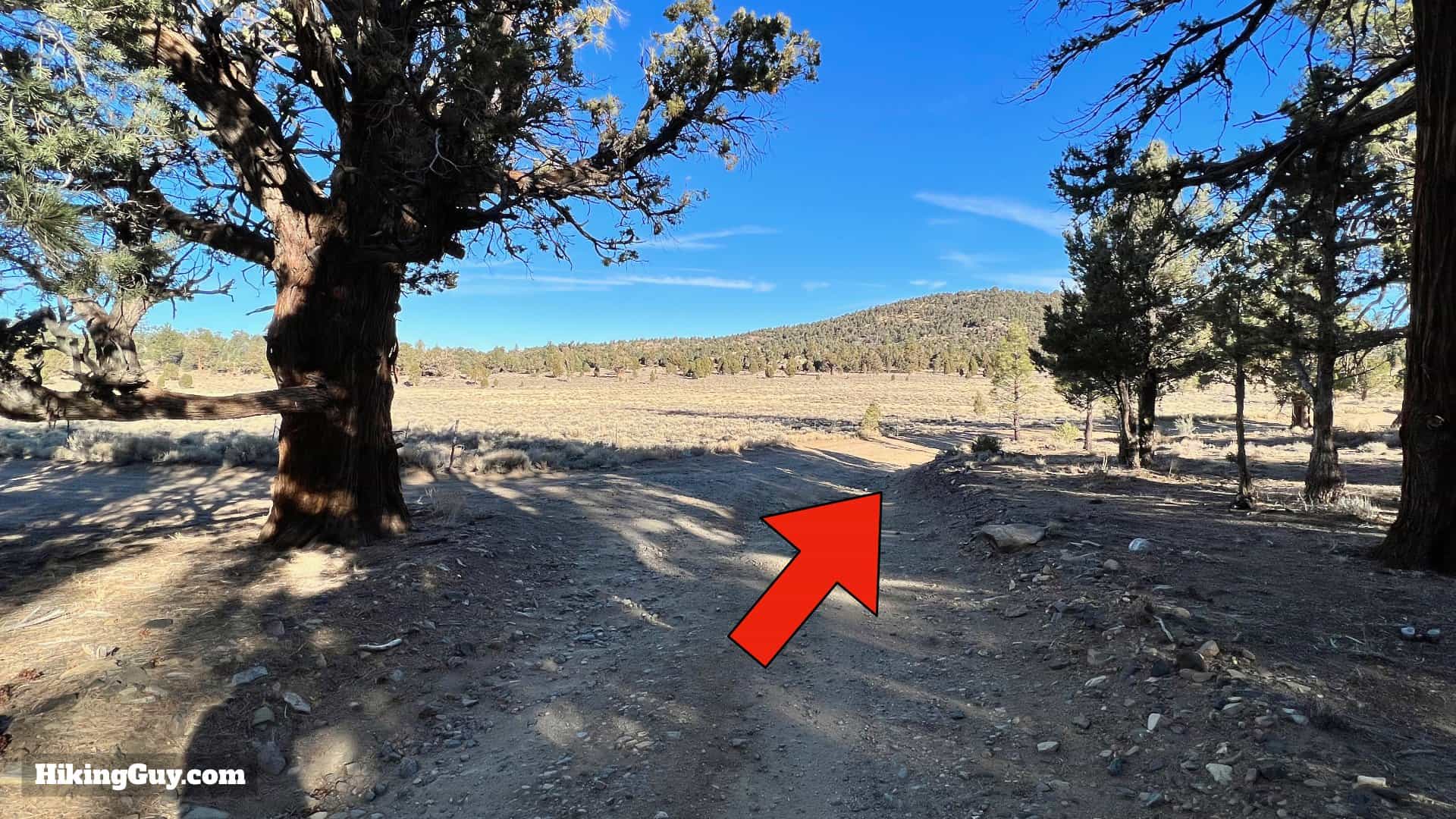 Big Bear Wild Burro Hike 18