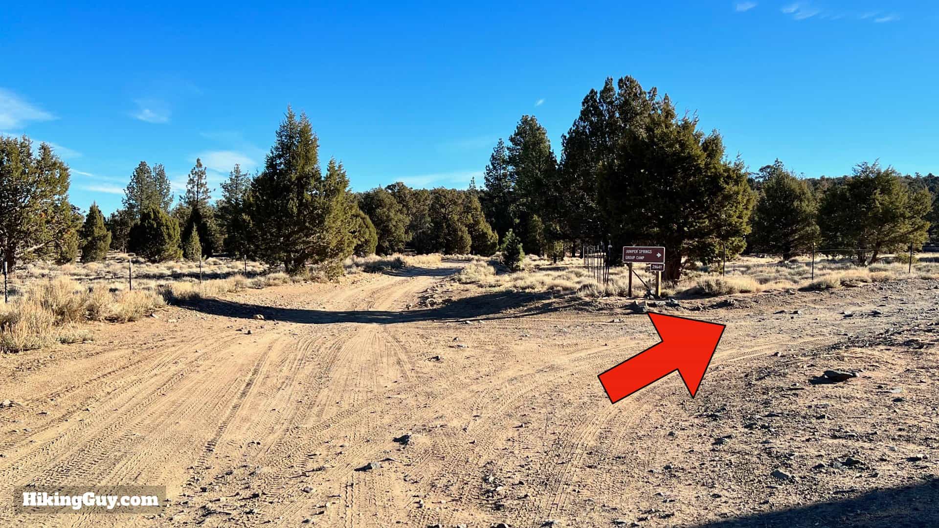 Big Bear Wild Burro Hike 19