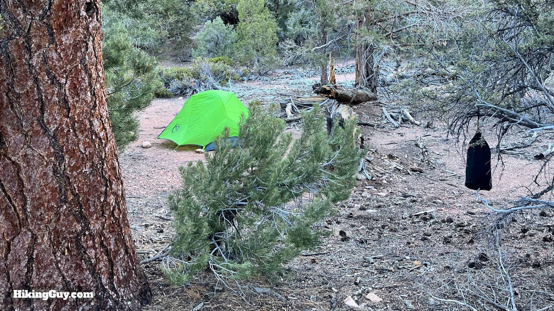 Big Bear Wild Burro Hike 2