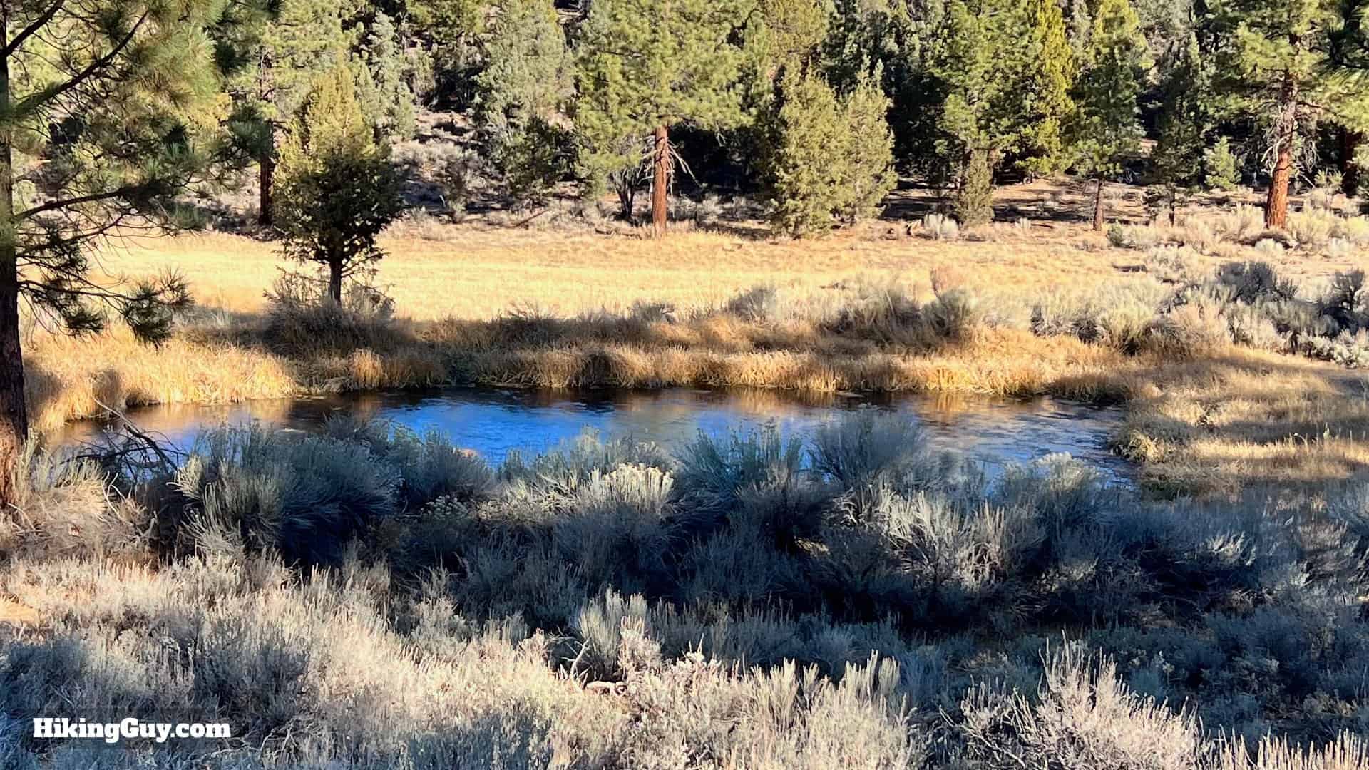 Big Bear Wild Burro Hike 22