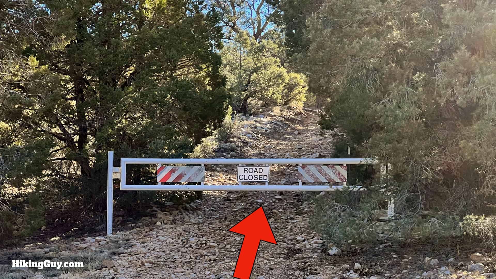 Big Bear Wild Burro Hike 24