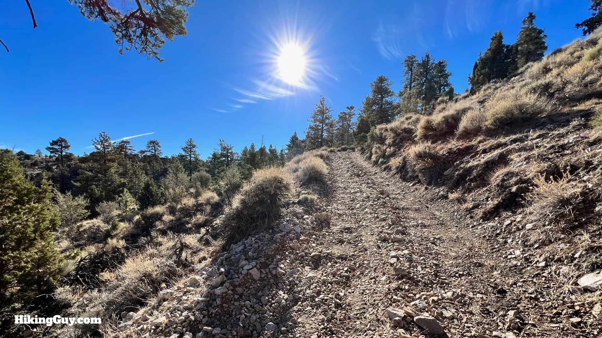 Big Bear Wild Burro Hike 25