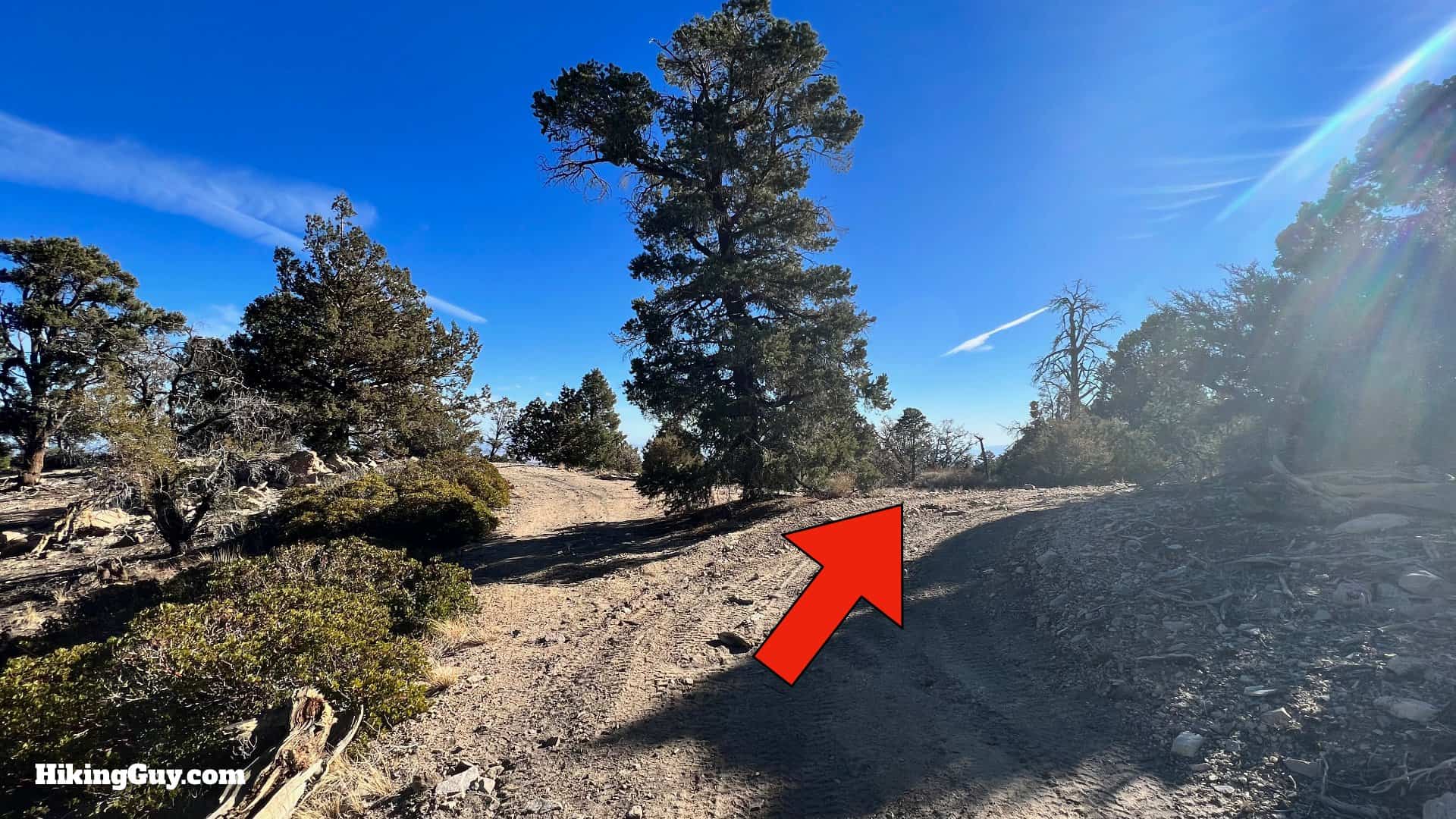 Big Bear Wild Burro Hike 29