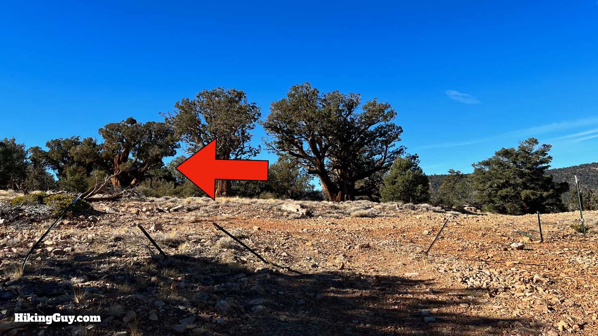 Big Bear Wild Burro Hike 32