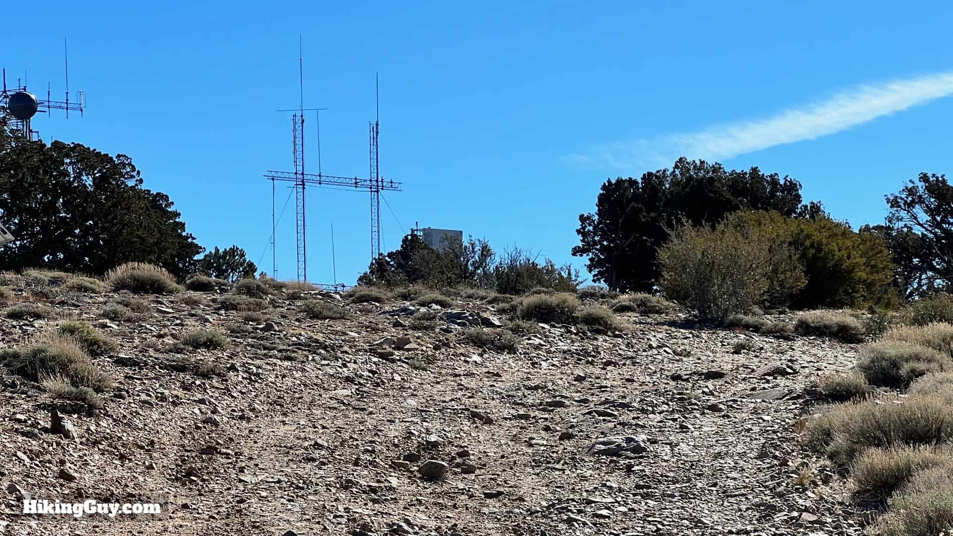 Big Bear Wild Burro Hike 37