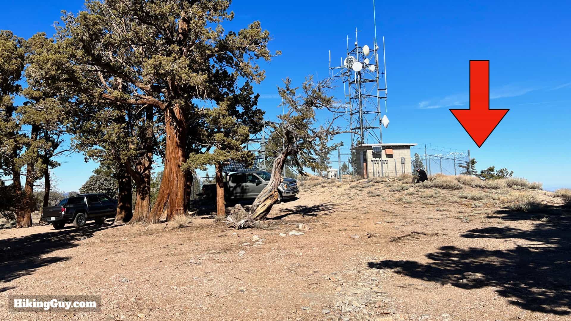 Big Bear Wild Burro Hike 38