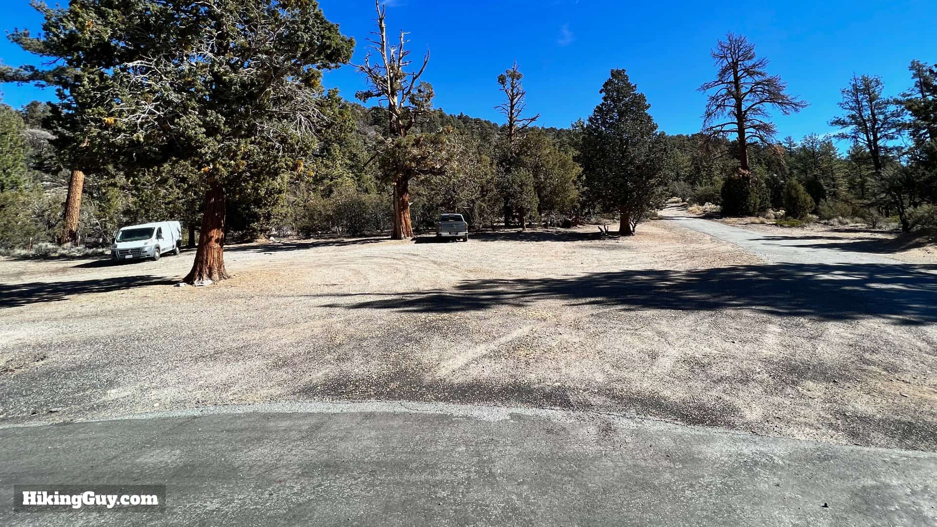 Big Bear Wild Burro Hike 4