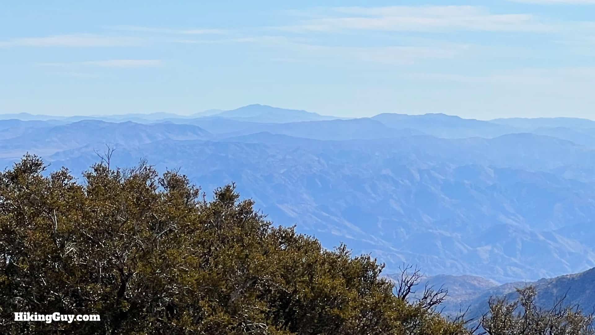 Big Bear Wild Burro Hike 40