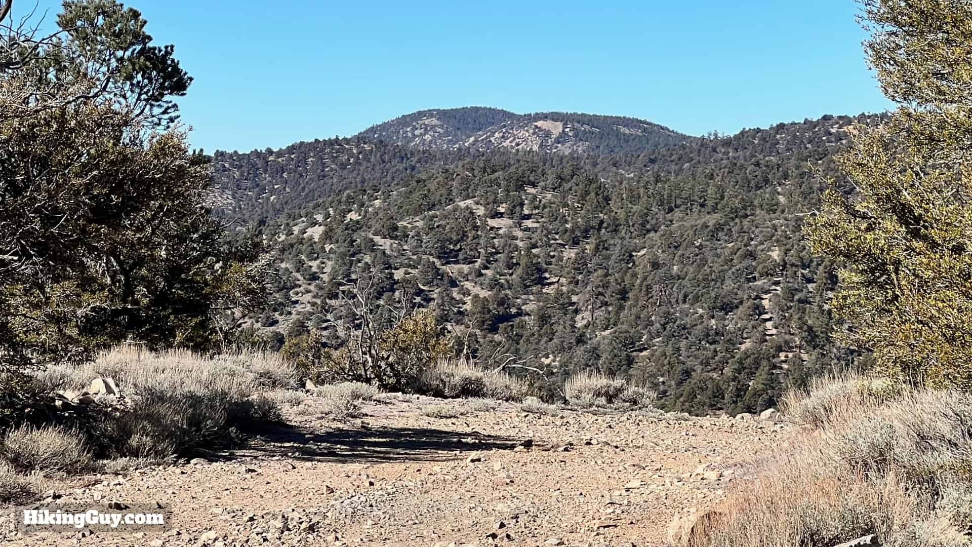 Big Bear Wild Burro Hike 42