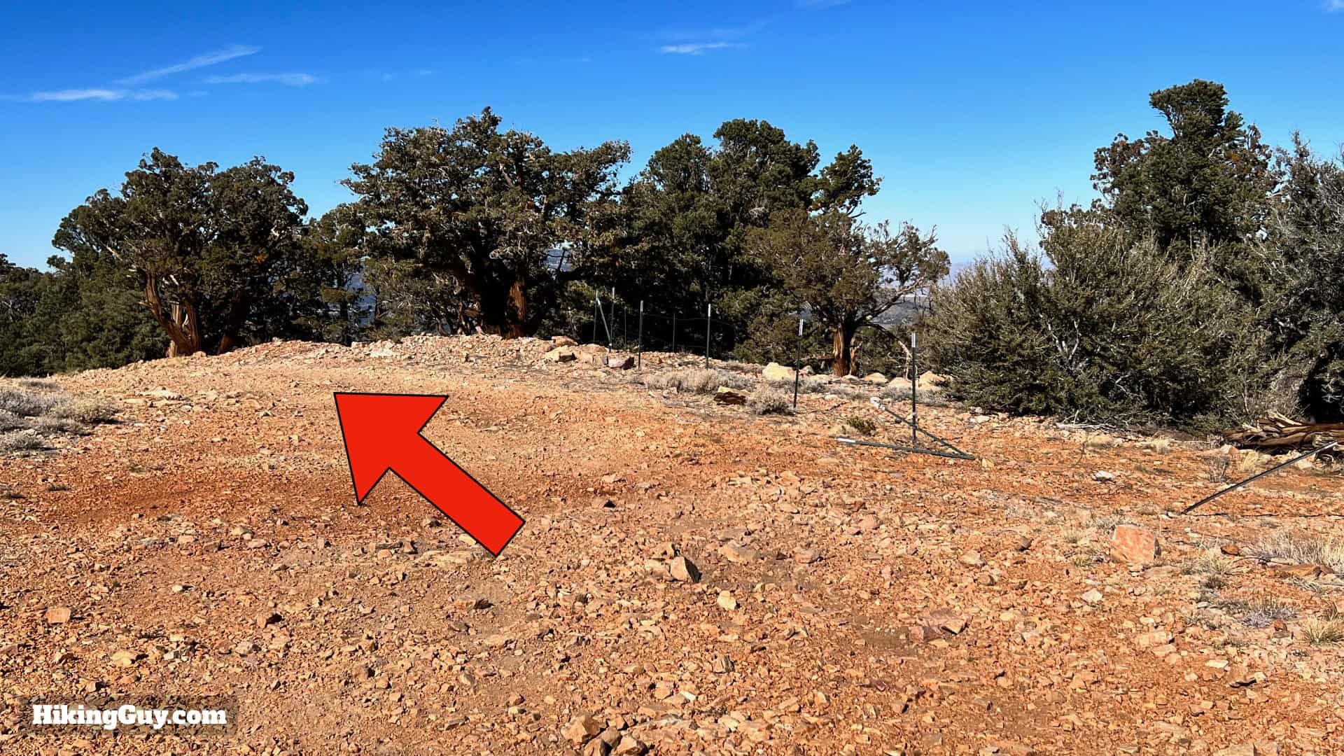 Big Bear Wild Burro Hike 43