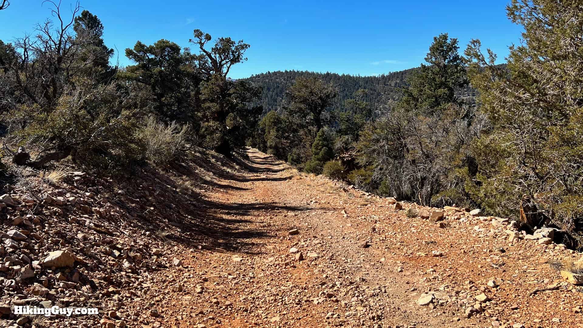 Big Bear Wild Burro Hike 44