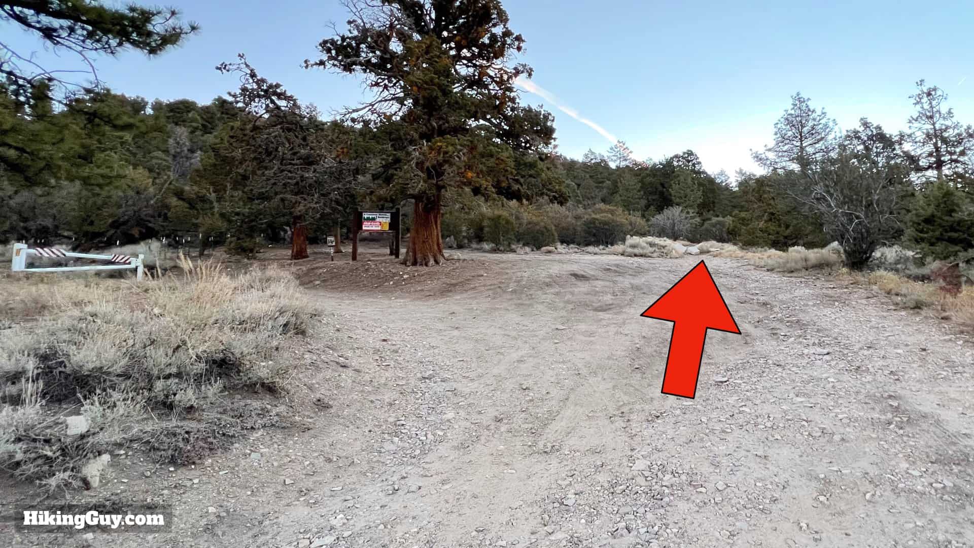 Big Bear Wild Burro Hike 5
