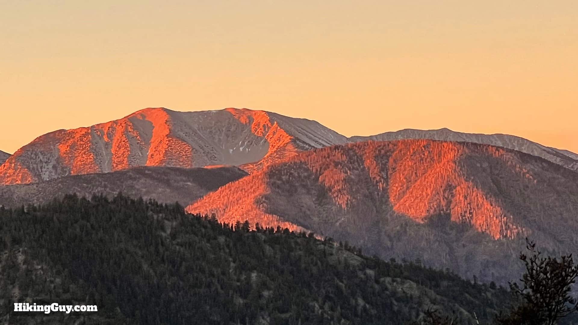 Big Bear Wild Burro Hike 7
