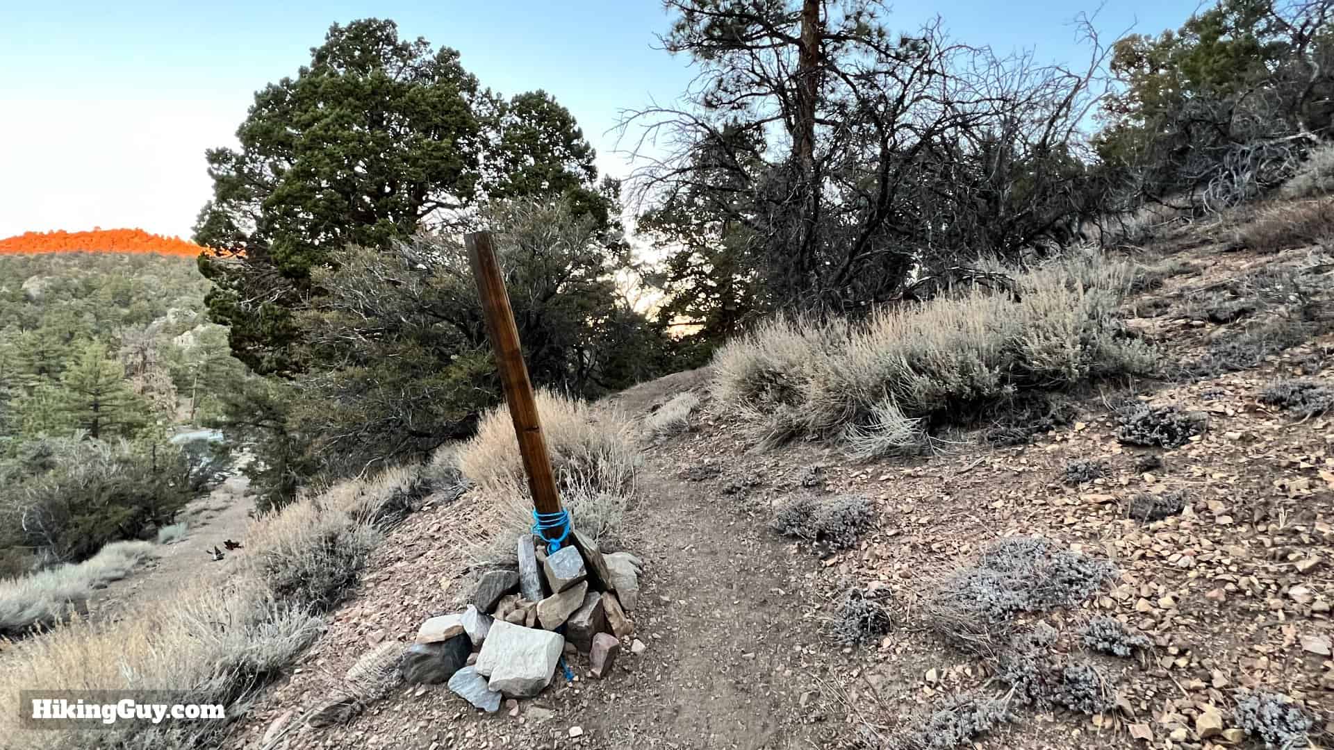 Big Bear Wild Burro Hike 9