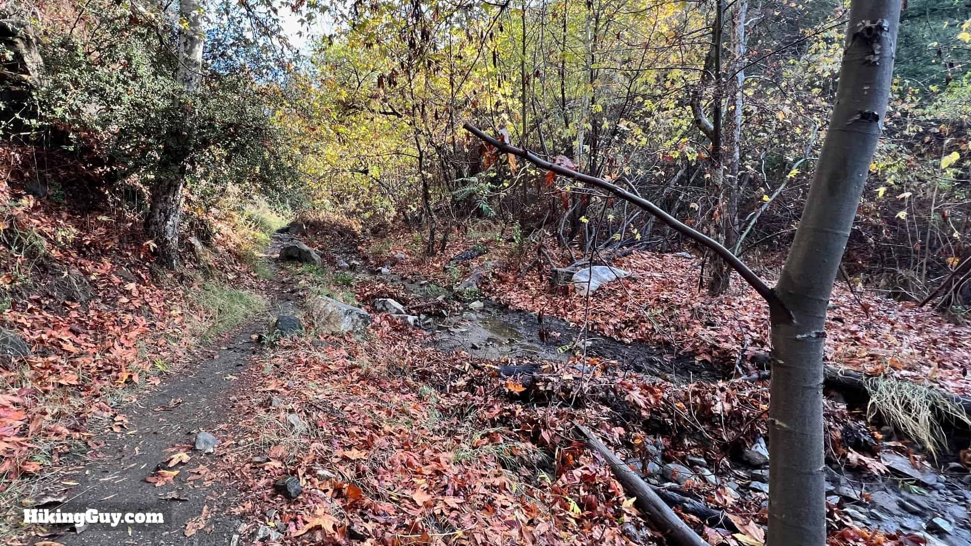 Big Dawlton Canyon Trail Directions 10