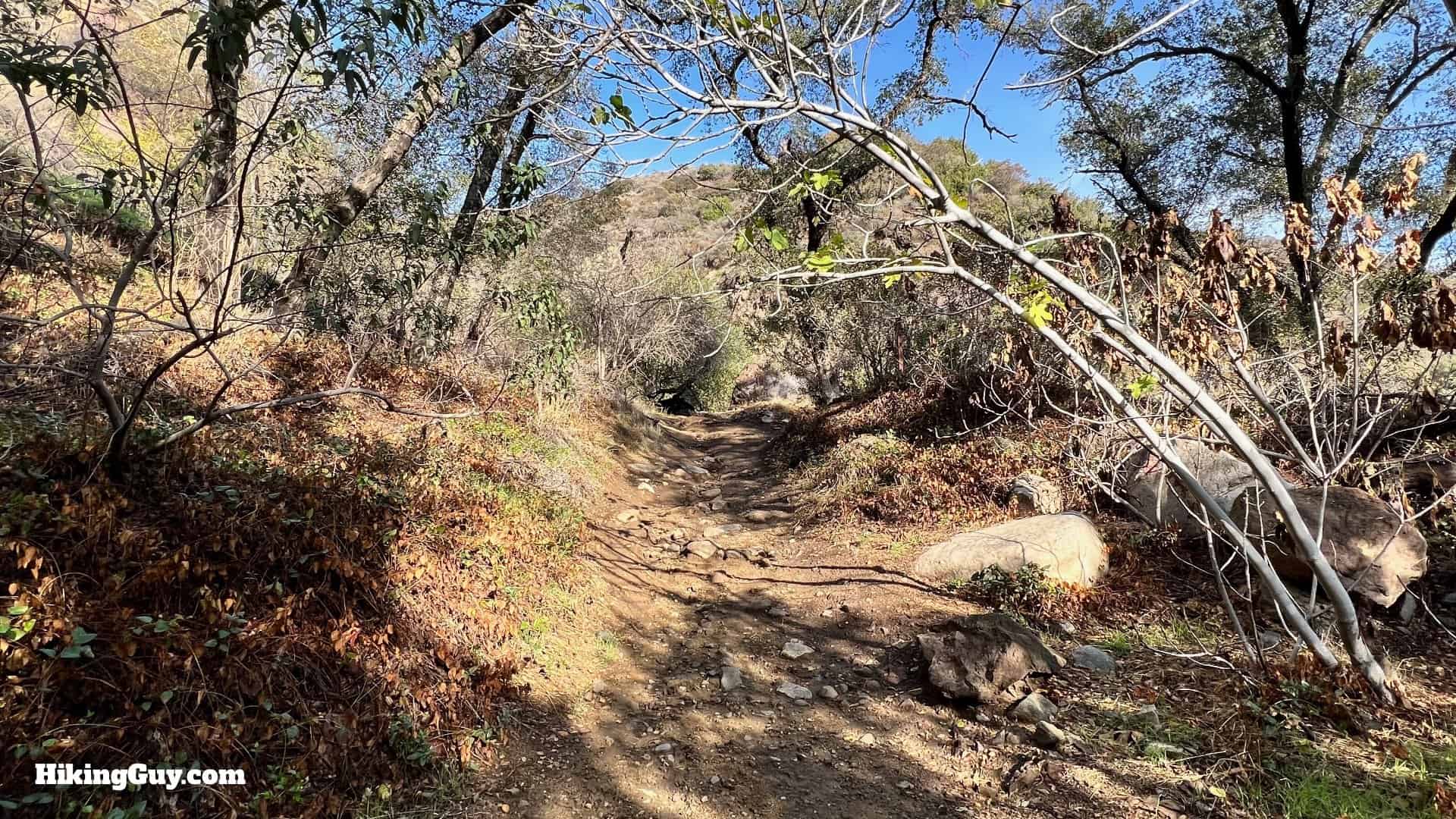 Big Dawlton Canyon Trail Directions 7