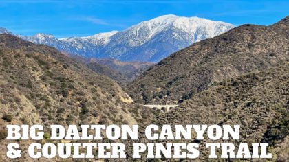 Big Dalton Canyon Trail + Coulter Pine Trail