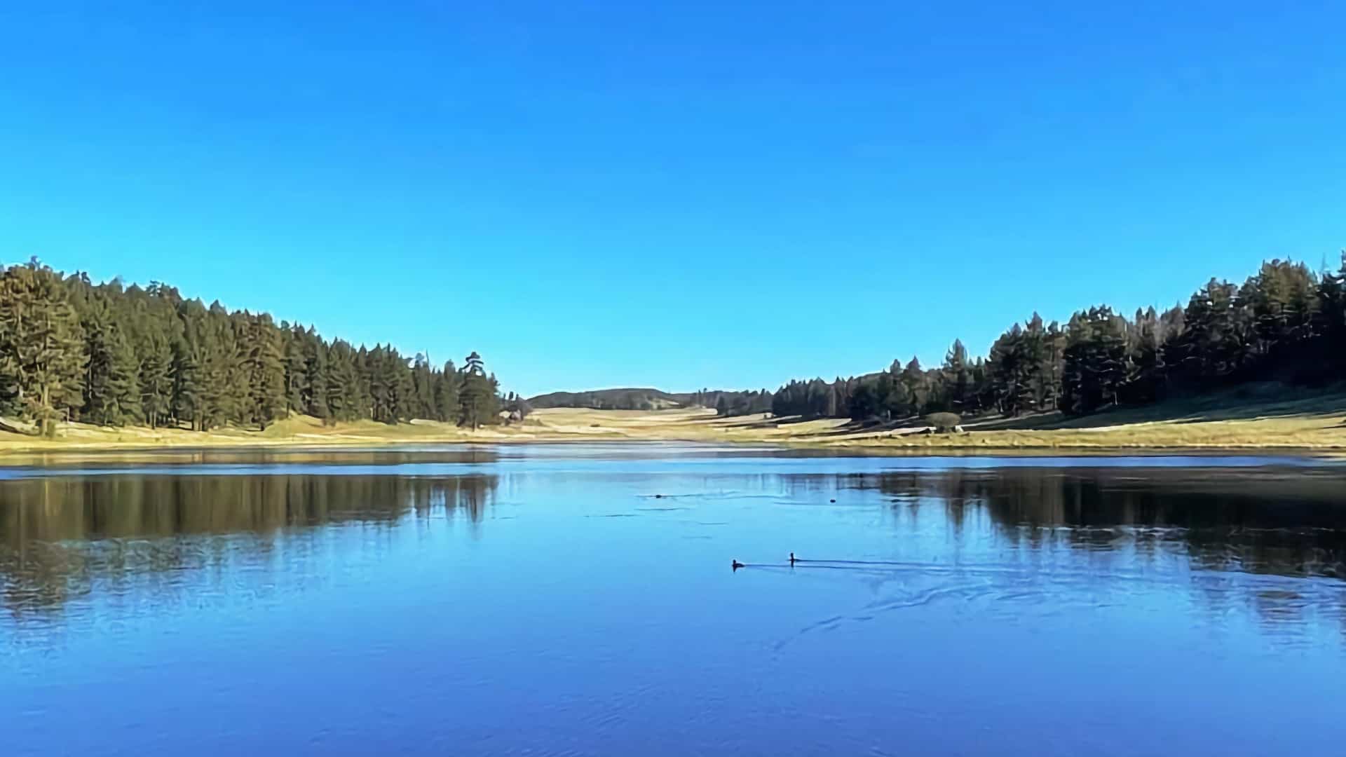 Big Laguna Trail - Best of Loop