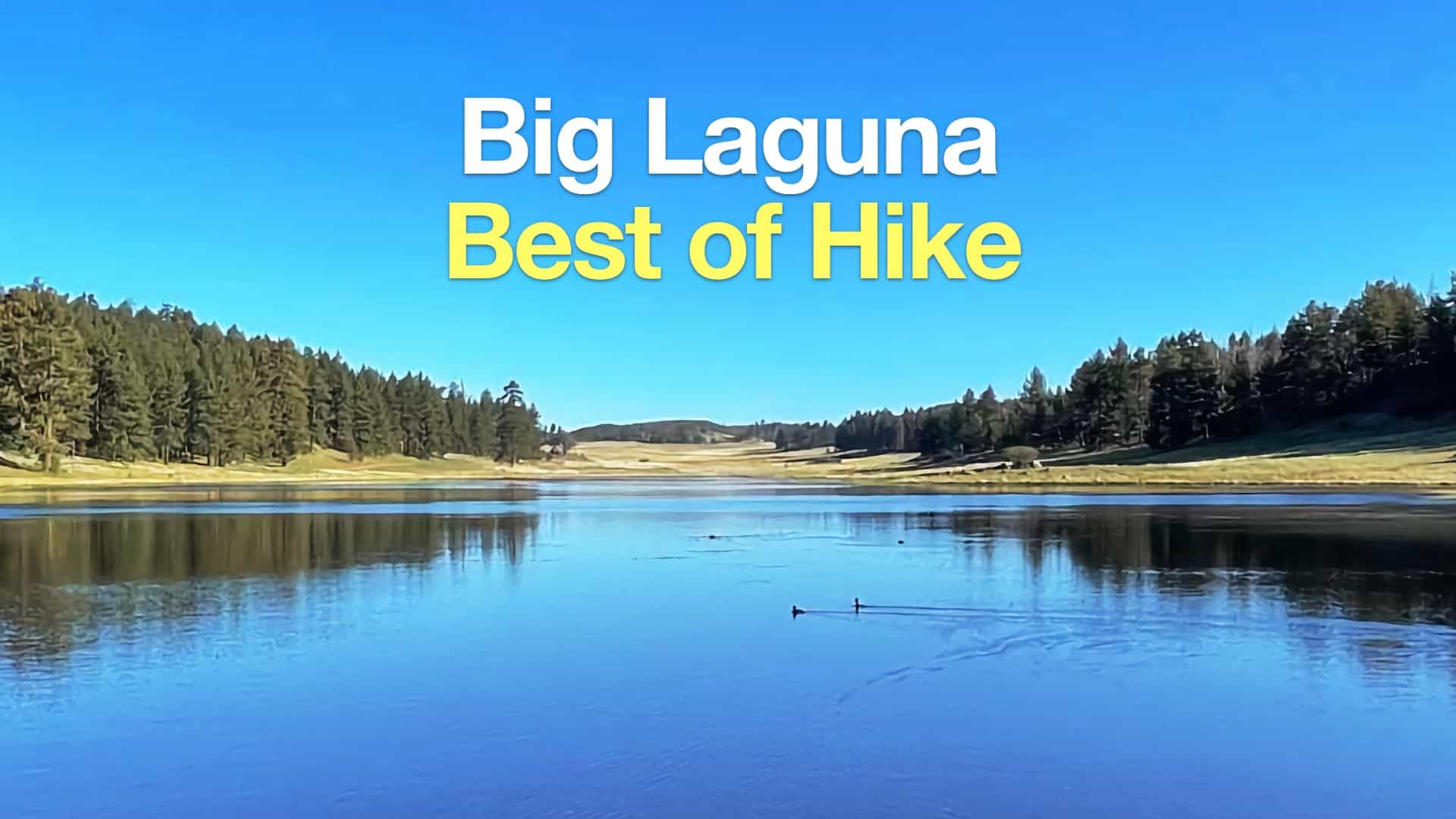 REI Laguna Hills Store - Laguna Hills, CA - Sporting Goods, Camping Gear