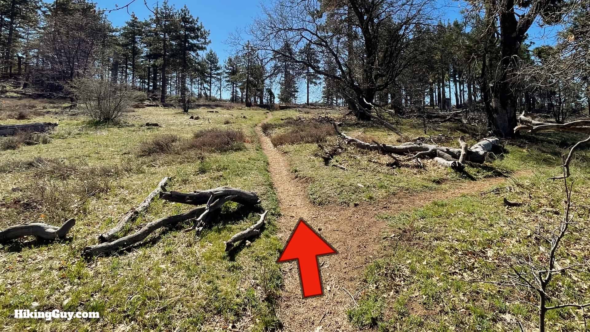 Big Laguna Trail Directions 42